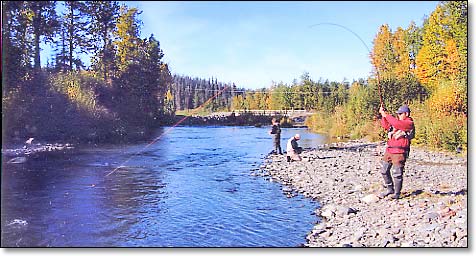 Fishing on the lower Kenai Peninsula, and Homer Alaska