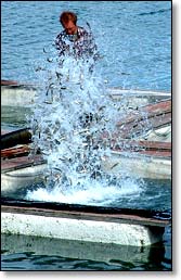 Homer Spit lagoon